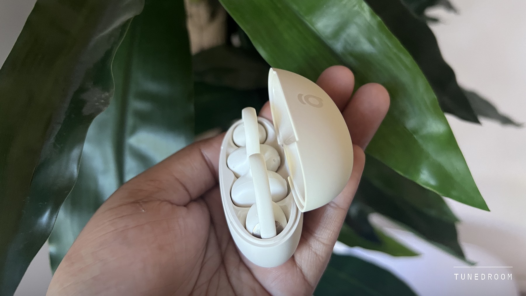 A hand holding the cream Baseus Bowie MC2 charging case open, both clip-on earbuds seated inside, in front of a large green houseplant